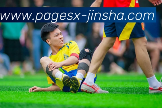 澳门金沙官网APP 封面图